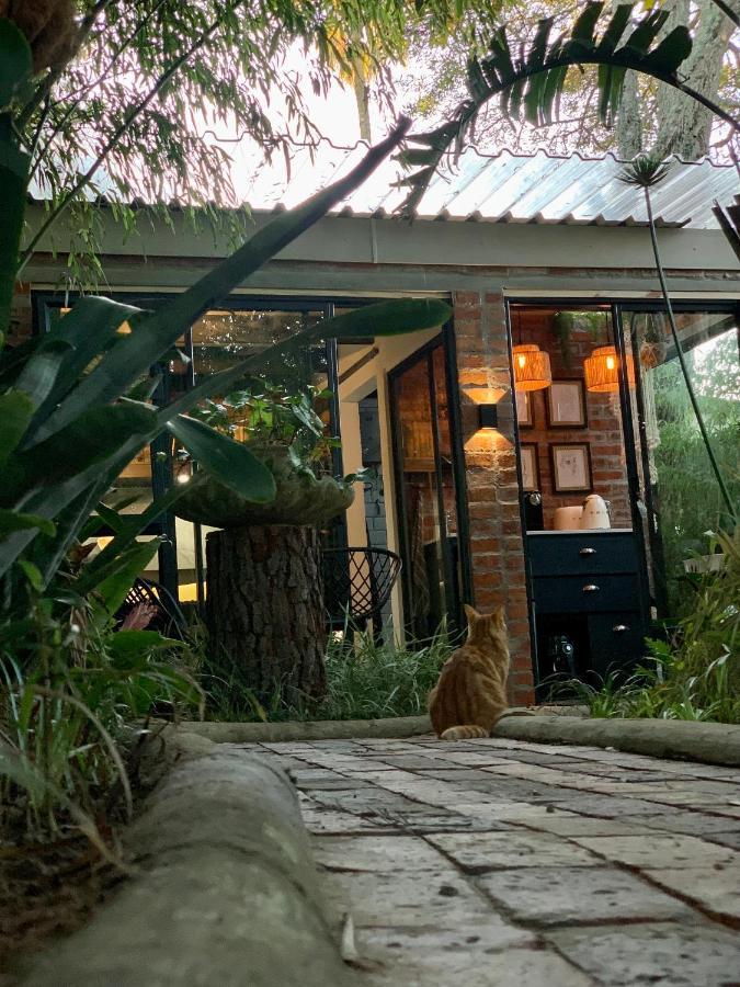 莫塞尔湾The Secret Garden Hideaway公寓 外观 照片